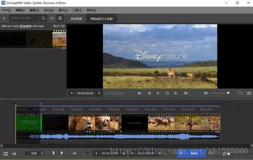 视频无损剪切,高效剪辑的艺术与技巧解析