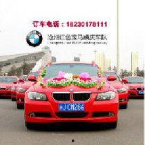 宝马车队视频,精彩瞬间回顾