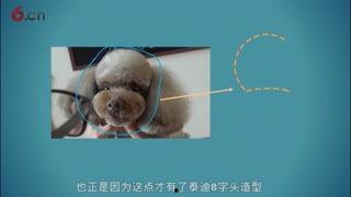 脖子美容视频教程,告别颈纹困扰