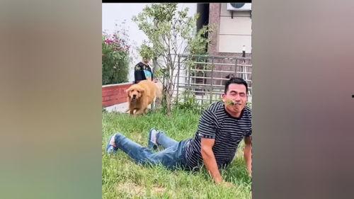 豆豆搞笑视频全集,笑点满满,欢乐无限