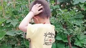 豆豆搞笑视频全集,笑点满满,欢乐无限