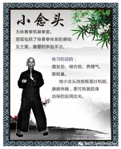 叶准咏春拳教学视频
