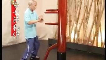 叶准咏春拳教学视频